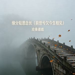 缘分短思念长（前世亏欠今生相见）