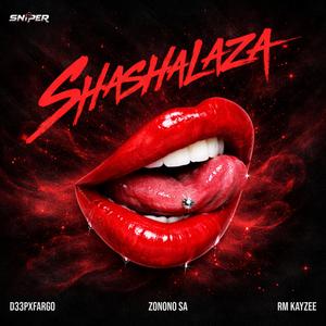 SHASHALAZA (feat. D33PXFARGO, RM Kayzee & ZONONO SA)