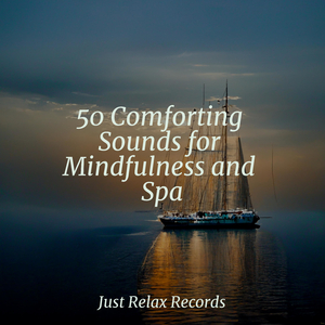 Enchanting Love's Tender Touch