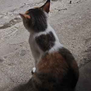 泛用型自动化解决方案（remix）.wav