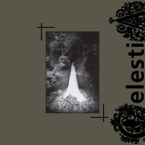 Wandering Through the Past Memories