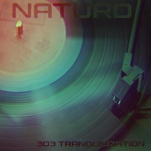 303 Tranquilization (Remastered 2025)