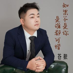 如果不是你 是谁都可惜