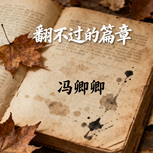 翻不过的篇章(内心的独白)