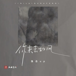 你来去如风