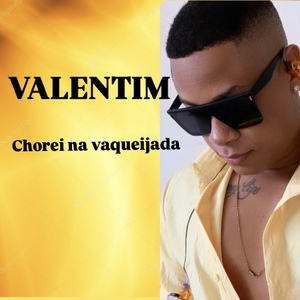 Chorei na Vaqueijada (Cover)