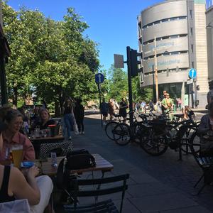 Forskning. Searching for the truth