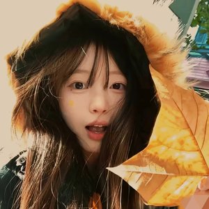 pax-可惜我是个处女座（樱馨 remix）