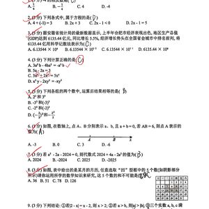 森林小径的雨后暖阳