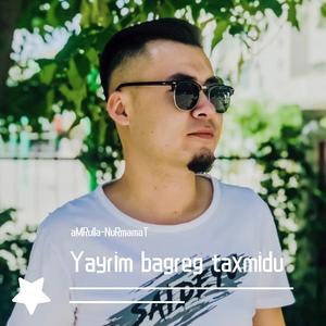 Yayrim bagrig taxmidu