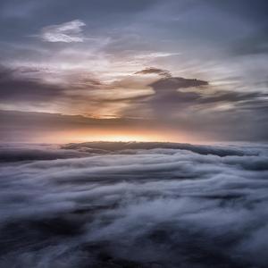 Immortal (Radio Edit)