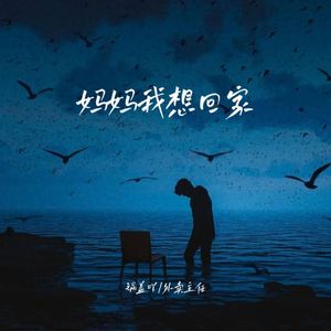 妈妈我想回家 (DJ彭锐版)