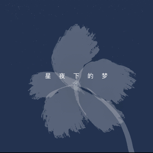 星夜下的梦