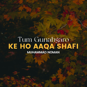 Tum Gunahgaro Ke Ho Aaqa Shafi