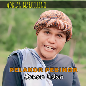 Pelakor Pebinor Jaman Edan (Remix)