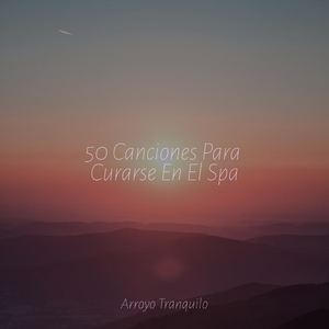 Serenidad Junto Al Fuego