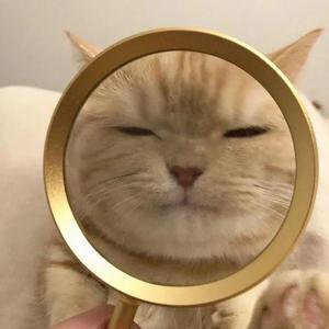 ゆ （Prod. by Lv9）