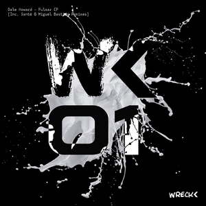 Pulsar (Miguel Bastida Remix)