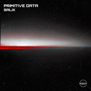 Primitive Data