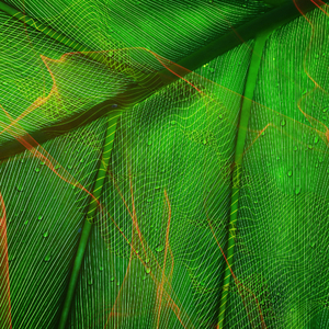 Serenity - 7 Hz (Theta)