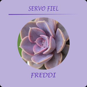 Servo Fiel
