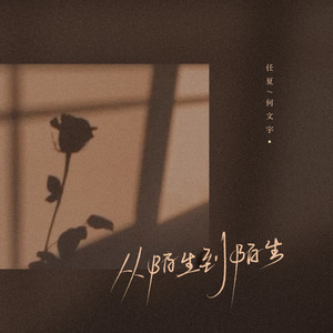 从陌生到陌生 (DJ版)