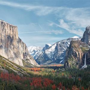 本来我想隐姓埋名