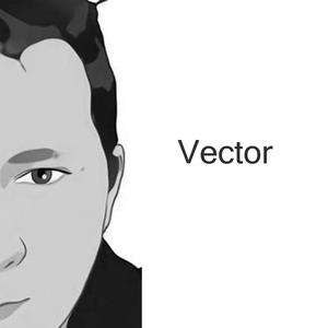 vector