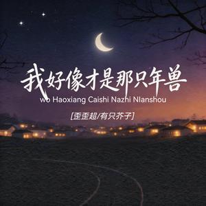 我好像才是那只年兽