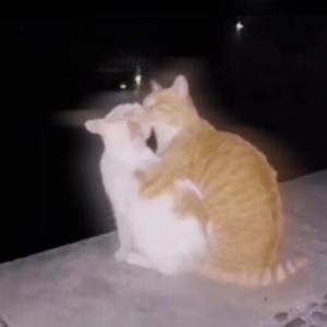 君が生まれた日