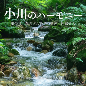 自律神経にやさしい音の処方箋 安らぎの快眠習慣 不眠改善に効くヒーリング (寝落ちのピアノの森)