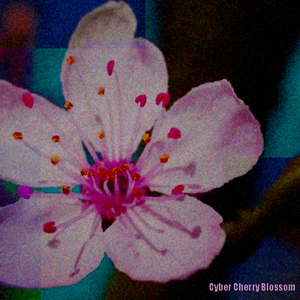Cyber Cherry Blossom