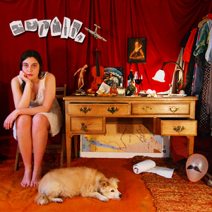 הערות שוליים