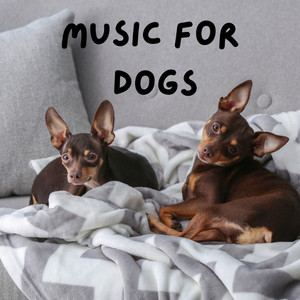 Classical Music for Pets