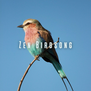 Tranquil Birdsong Cascade