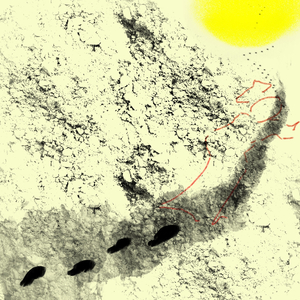 17 Steps in the Dust