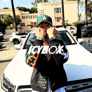 IcyBox