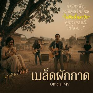 เมล็ดผักกาด