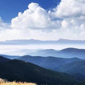 我们能做的是负重前行