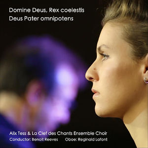 Gloria, Hrv 589: 6. Domine Deus Rex Coelestis Pater Omnipotens