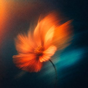 Weightless