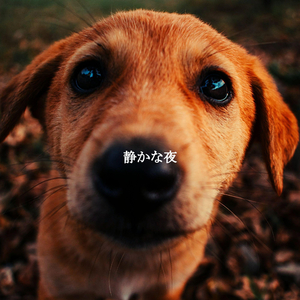 Tranquil (Wellness and Care)