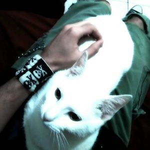 破败之王(prod.by Morrow x wustin)