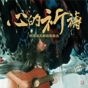 流年啊你奈我何（Cover 汪峰）