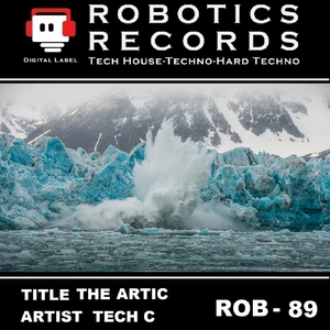 Artic (Original Mix)