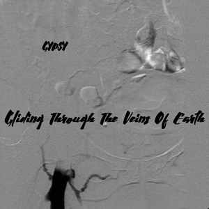 Into The Mystic (Calling The Tribe)