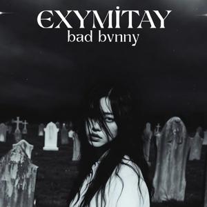 bad bvnny