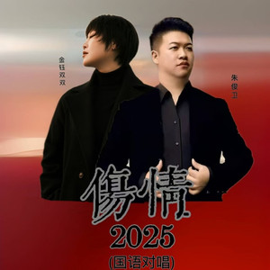 伤情2025