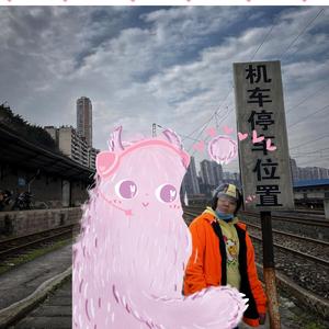 而是向同一个方向看去