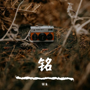 晚安【温柔版】